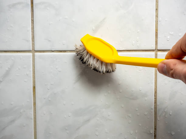 Best Mold Cleaning Services  in , NH