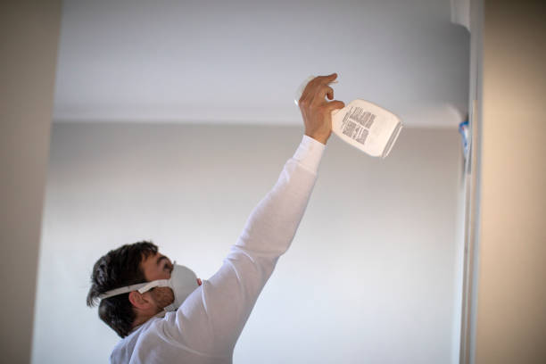 Best Professional Mold Removal  in , NH