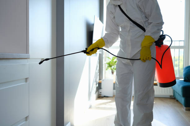 Best Certified Mold Removal  in , NH