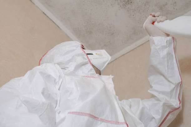 Best Mold Testing  in , NH