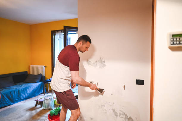 Best Mold Inspection  in , NH